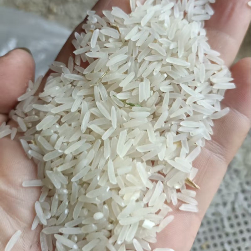 珠两优