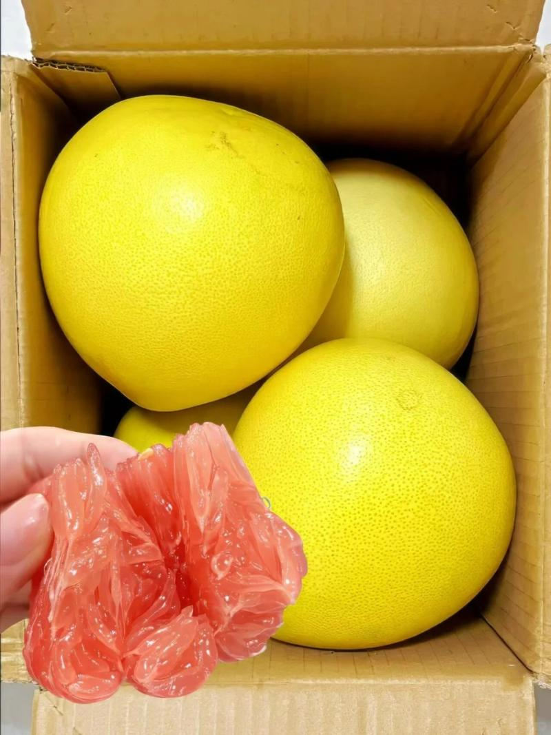 福建三红柚精品红柚果肉香甜汁水饱满