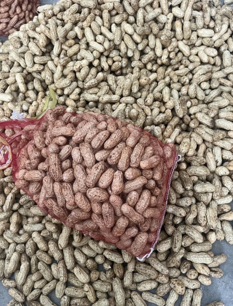 新鲜花生红皮花生七彩花生云南花生大量上市