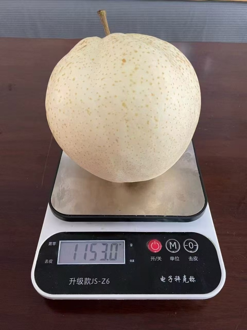 梨，山农酥