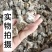 蜂房中药材麻蜂房今年新货批发零售货真价实