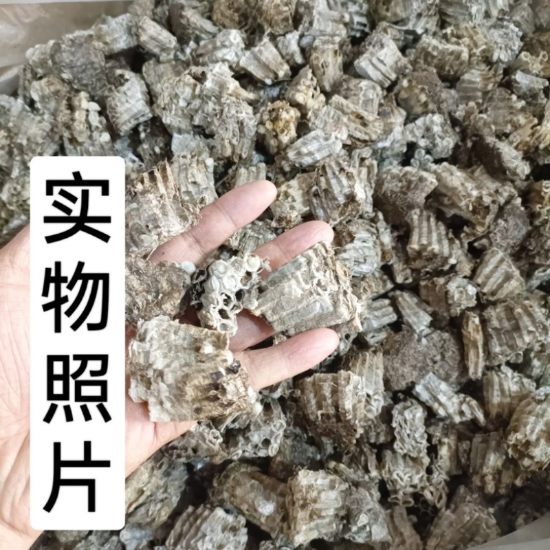 蝉蜕壳中药材今年新货批发零售货真价实冷背中药材大全