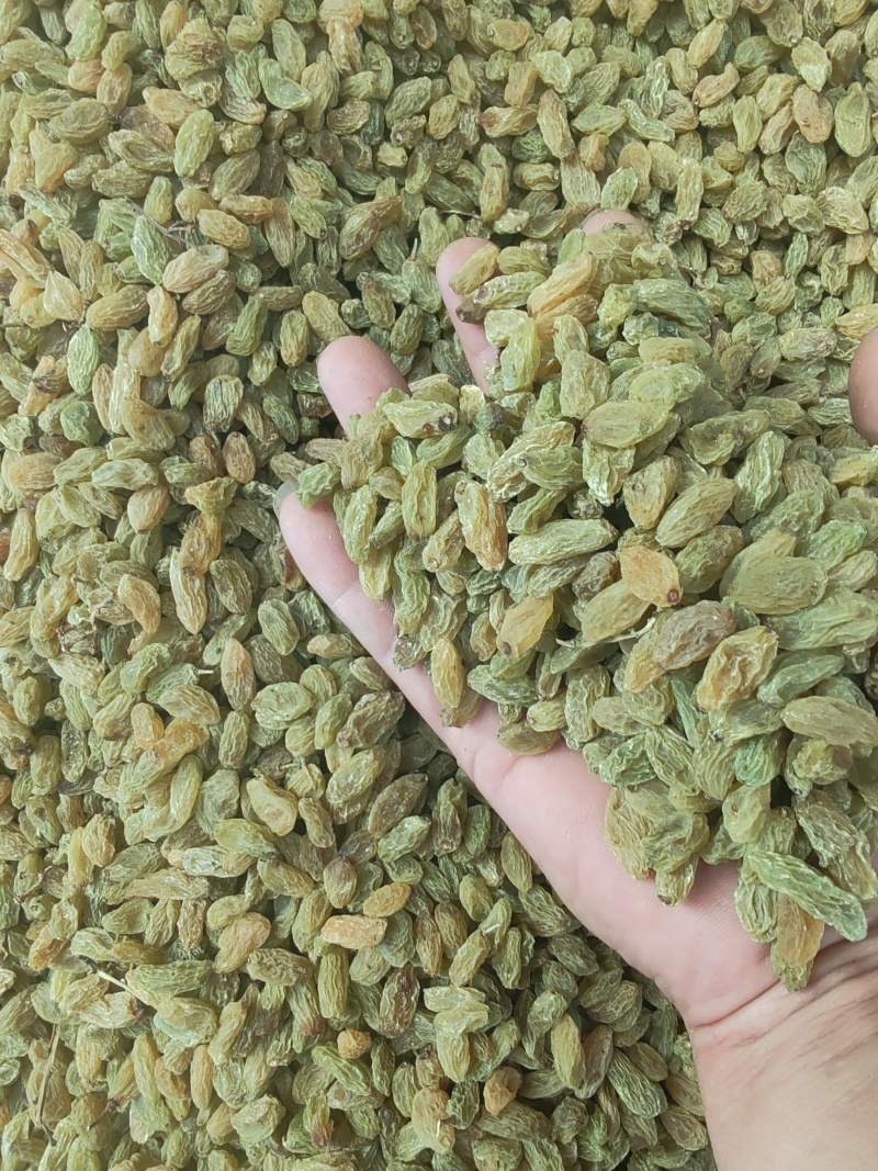 无核白葡萄干，量大质优价格优惠一手货源欢迎咨询采购