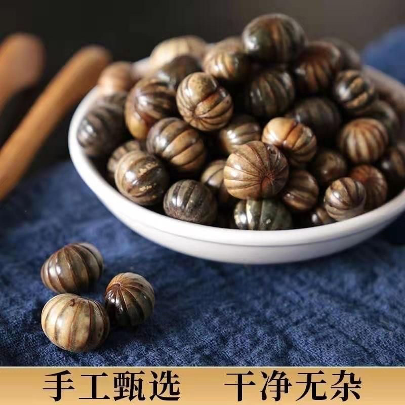 滚山珠中药材滚山虫批发零售货真价实昆虫类药材大全