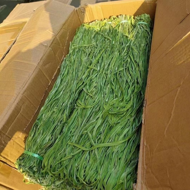精选贡菜干新货农家火锅食材苔干土特产火锅炒菜家常做法
