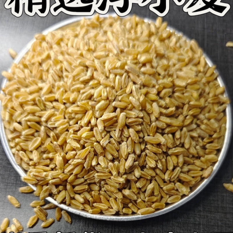 浮小麦中药材新货无硫批发零售货真价实一手货源