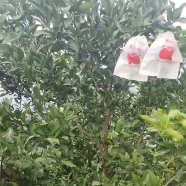 眉山本地一手货源，本地代办
