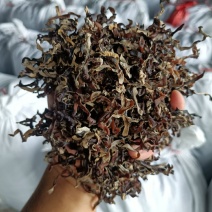 木耳丝电商足干好货精选木耳丝剪根木耳丝加工厂整车代发木耳
