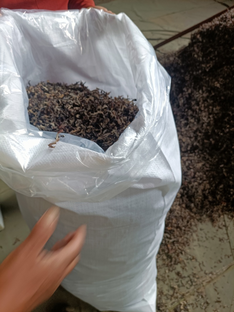木耳丝电商足干好货精选木耳丝剪根木耳丝加工厂整车代发木耳