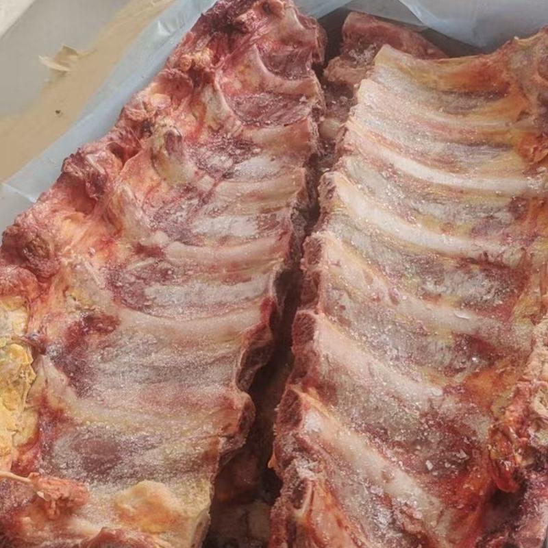 带肋牛脊骨