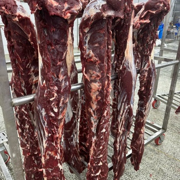 鲜牛肉吊龙