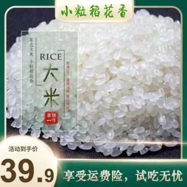 东北大米小粒香稻花香大米