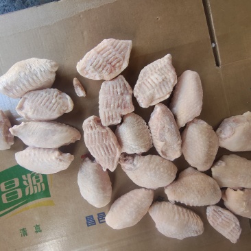 二级翅中