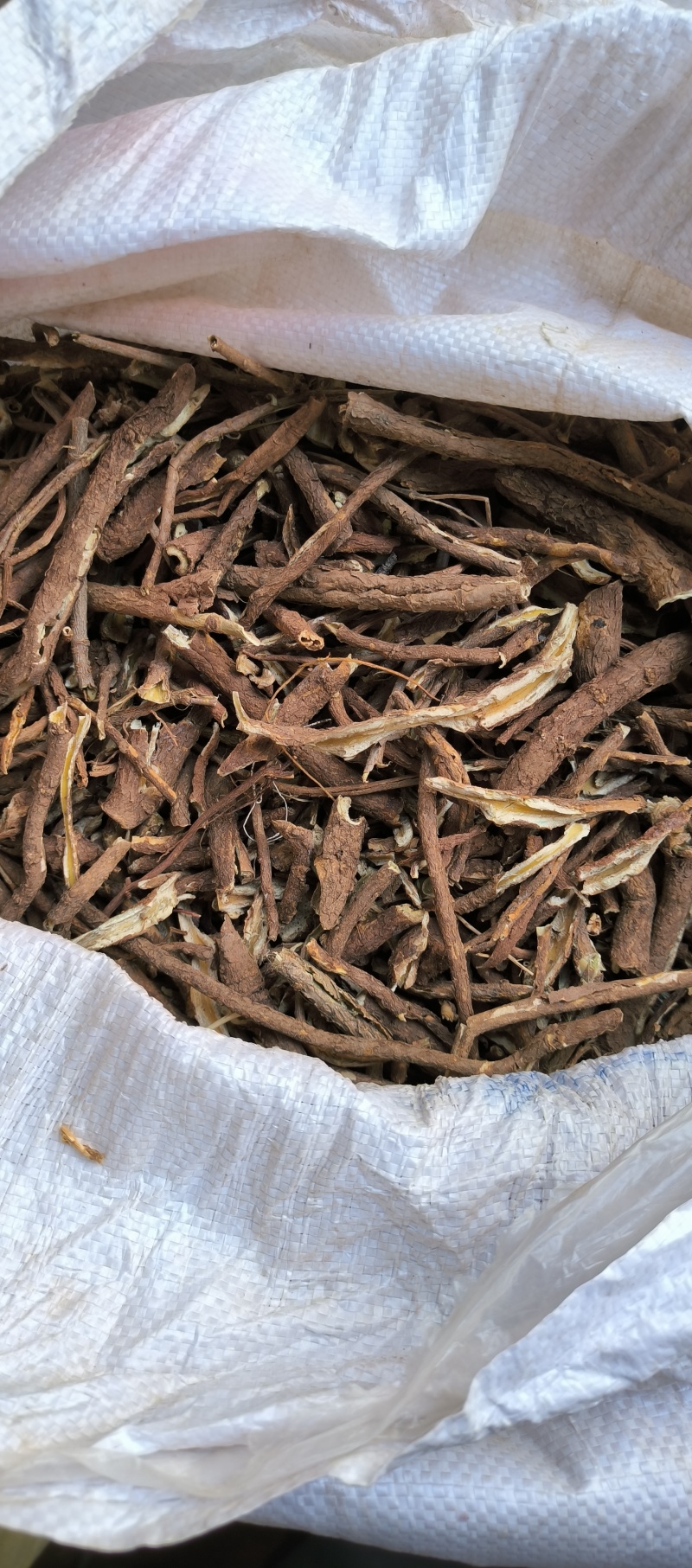 香加皮野生香加皮