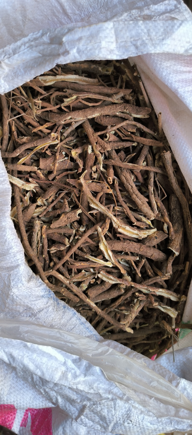 香加皮野生香加皮