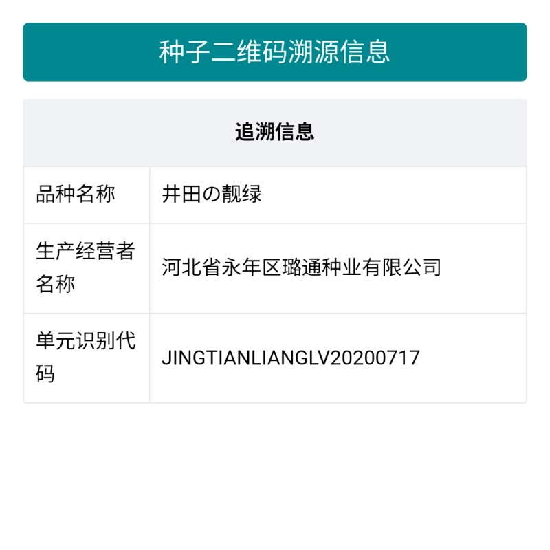 优质芹菜新品种井田靓绿芹菜种子抗病耐低温一代交配西芹种子