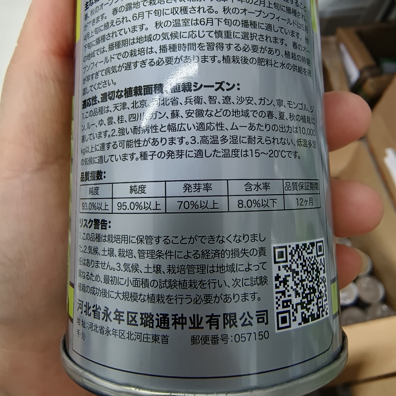 优质芹菜新品种井田靓绿芹菜种子抗病耐低温一代交配西芹种子