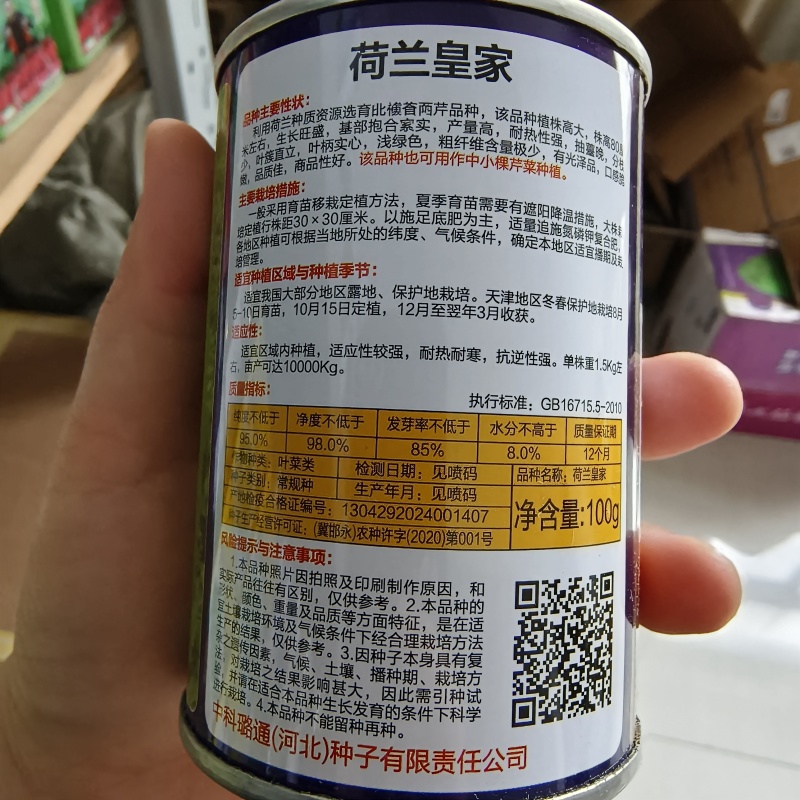 璐通芹菜种子荷兰皇家西芹种子实心芹芹菜种籽耐热耐寒四季蔬