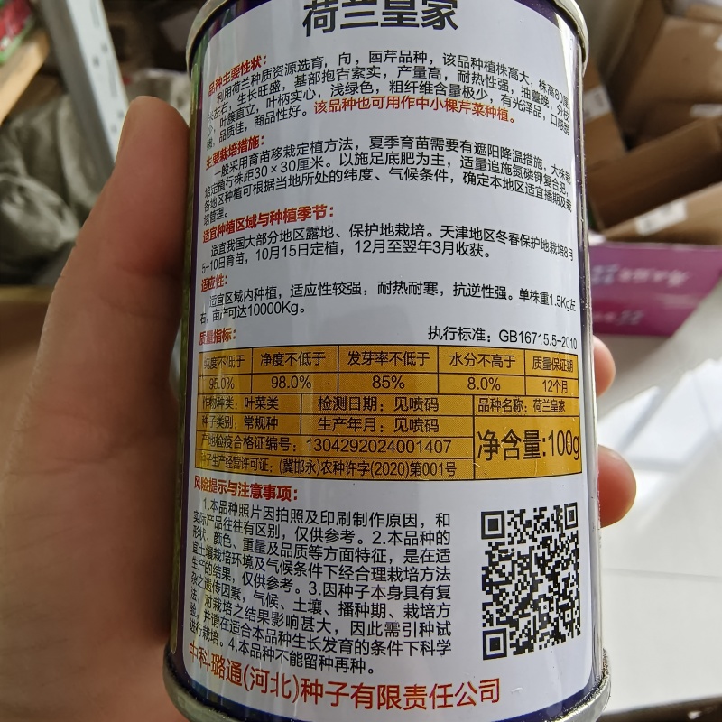 璐通芹菜种子荷兰皇家西芹种子实心芹芹菜种籽耐热耐寒四季蔬