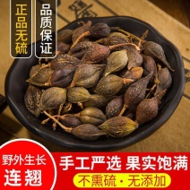 连翘山西/产地直销/质量保障/放心购买