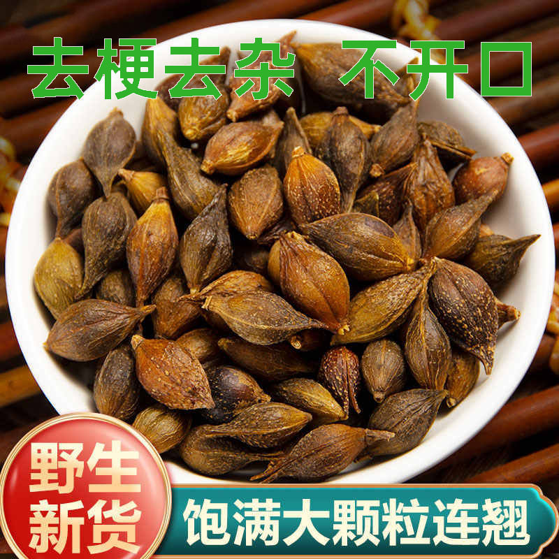 连翘山西/产地直销/质量保障/放心购买