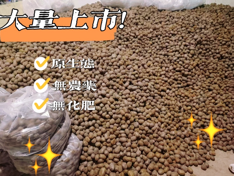 猕猴桃