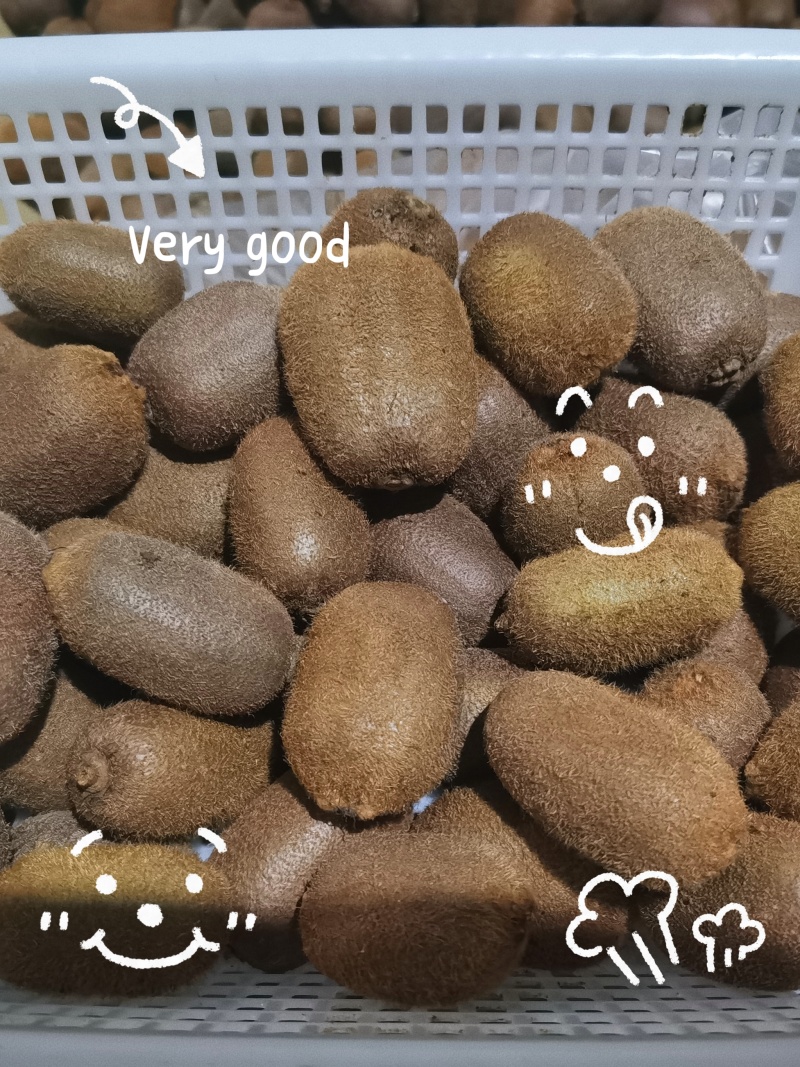 猕猴桃