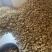 核桃仁，碎仁，烘培专用仁都有货，产地漾濞，正宗大泡核桃仁