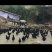 正宗山地散养林间走地鸡五黑鸡