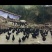 正宗山地散养林间走地鸡五黑鸡