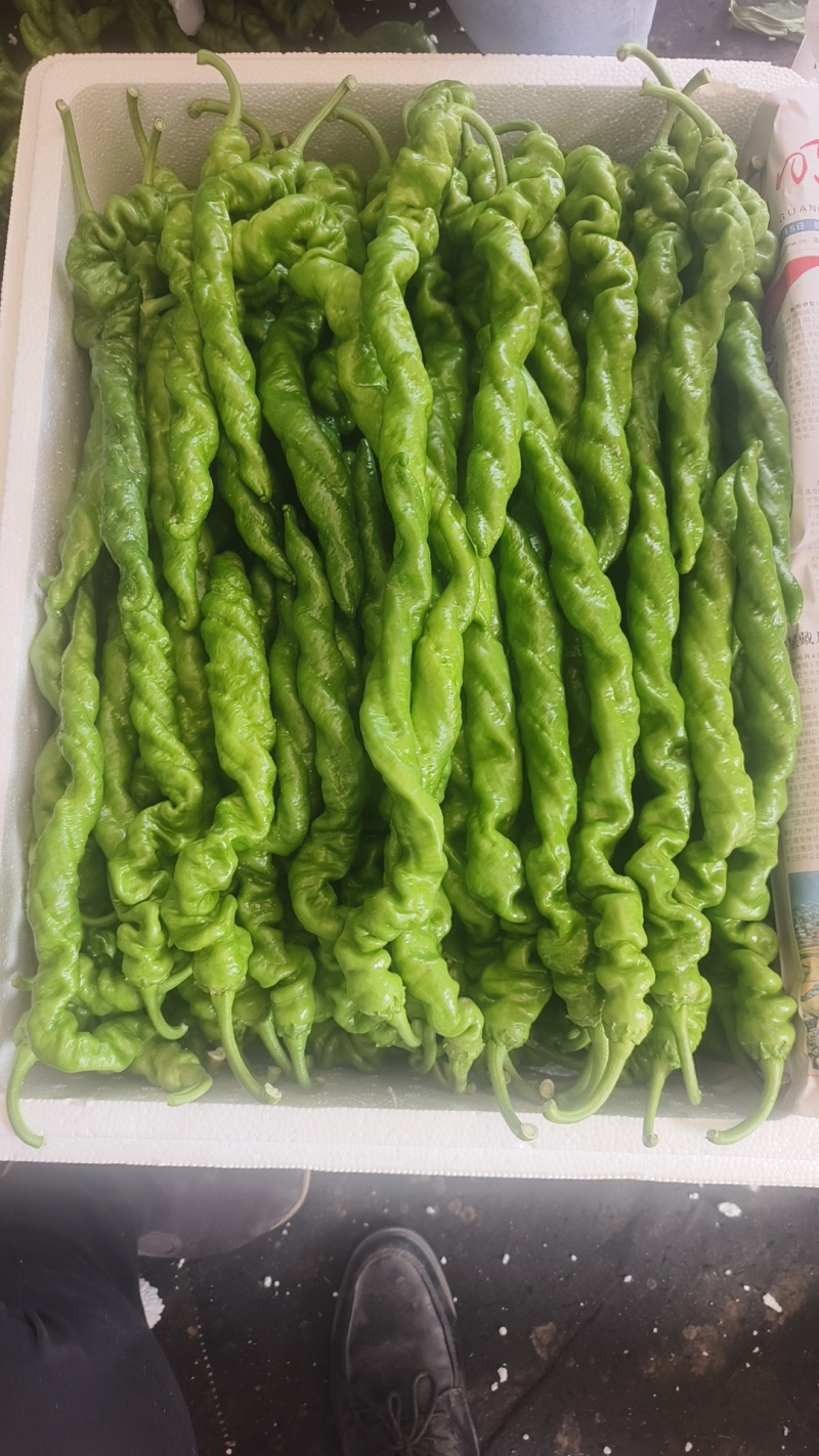 各种椒