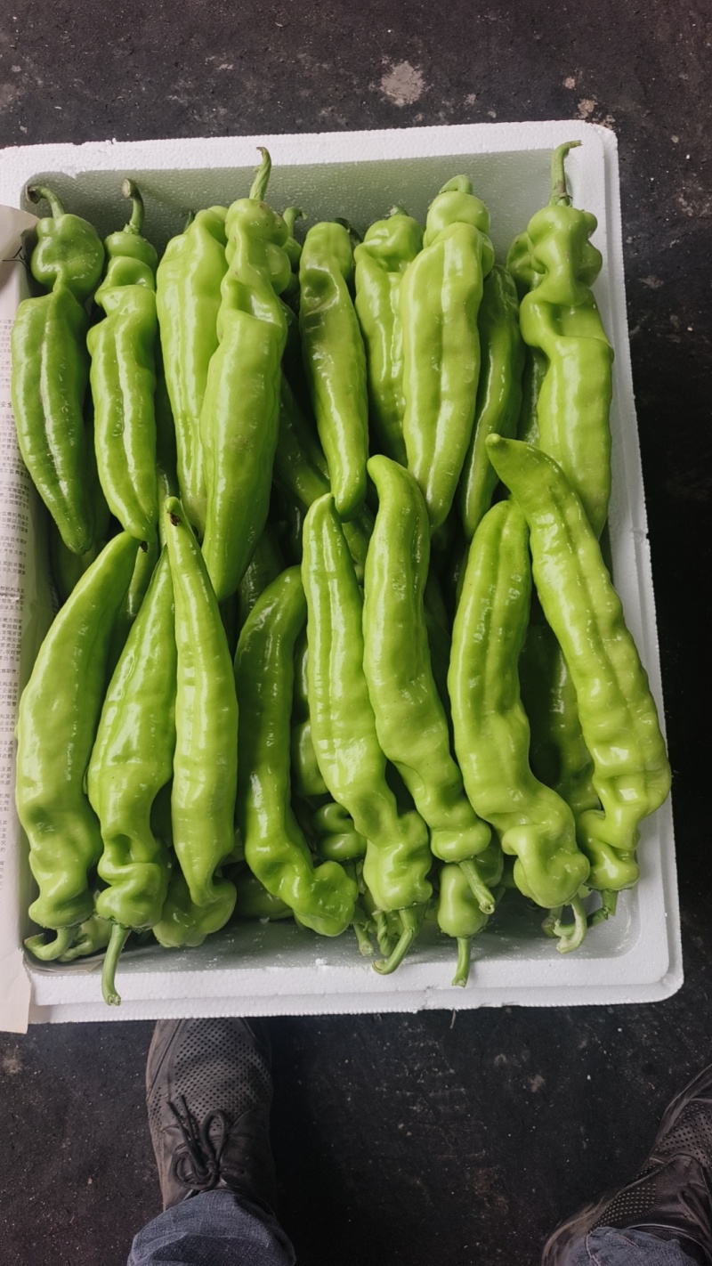 各种椒