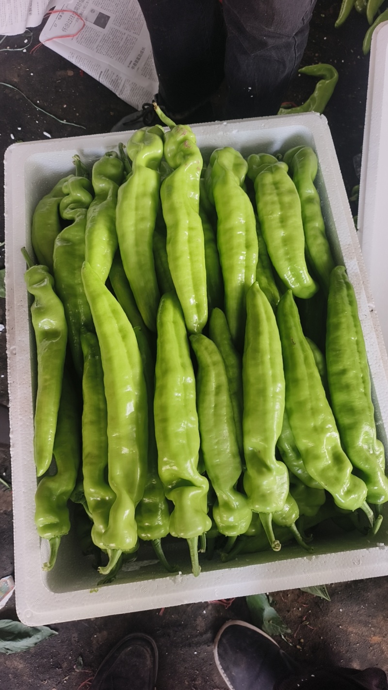 各种椒