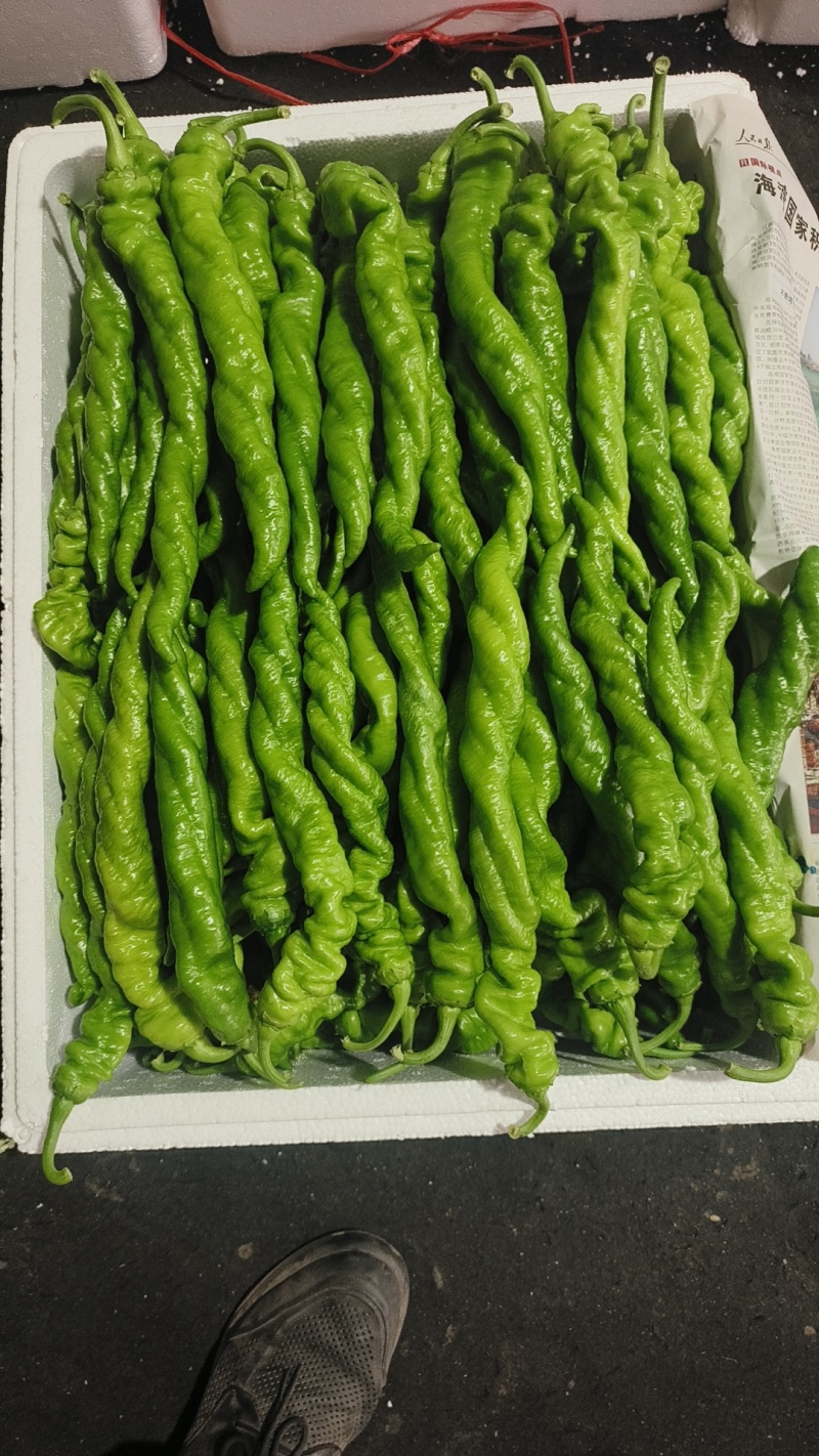 各种椒