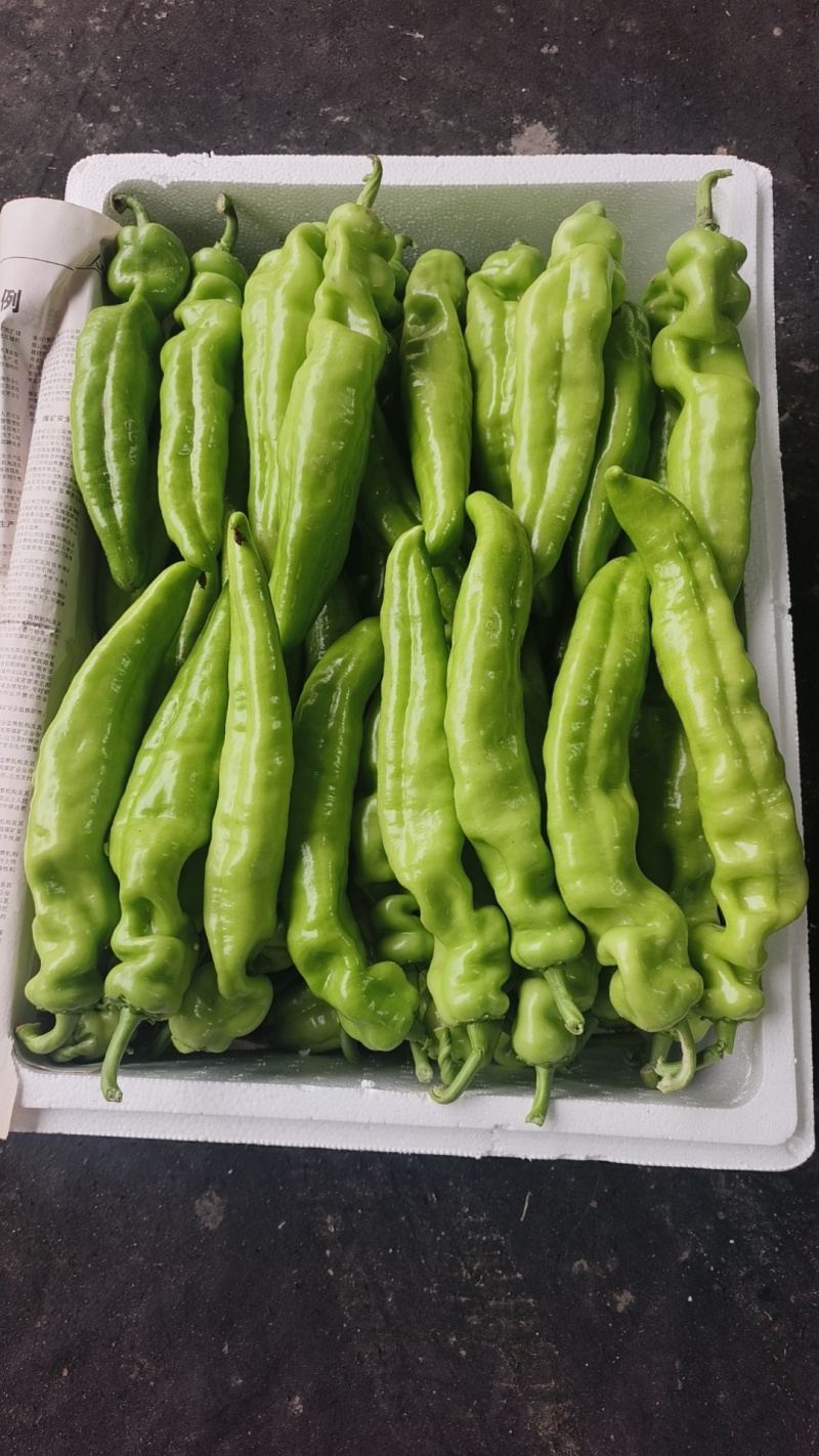 各种椒