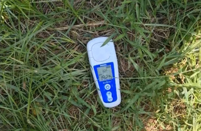维纳斯黄金苹果