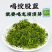 平利绞股蓝正品龙须茶七叶苦味五叶甘味新茶亲民价包邮