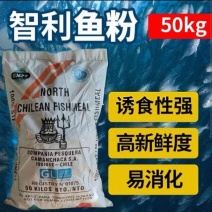 进口智利鱼粉价格低指标好鱼腥味大吸收好一吨也是港口价原装