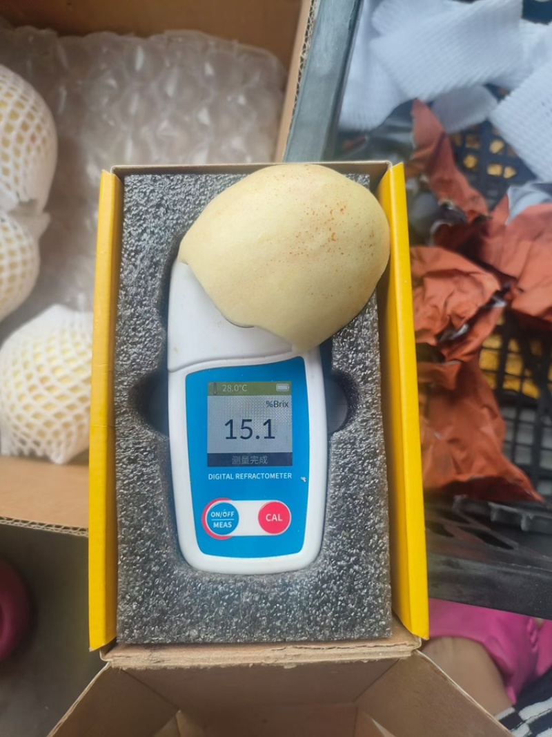 爆炸桃。网红爆炸桃。金秋红蜜