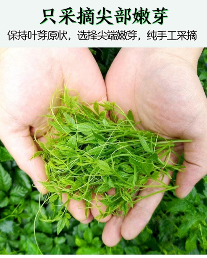 平利正宗绞股蓝龙须茶深山五叶七叶正品嫩芽养生