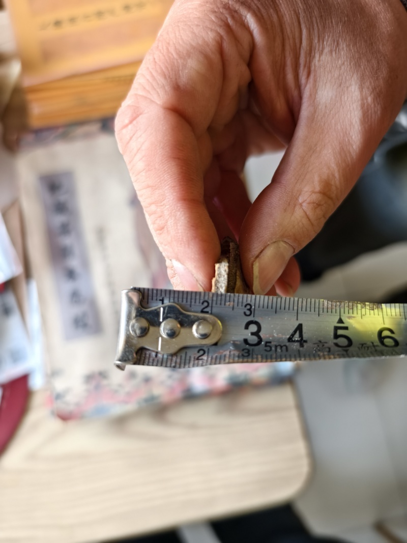 杜仲皮精品杜仲皮/自然晾干无硫磺熏保质保量欢迎