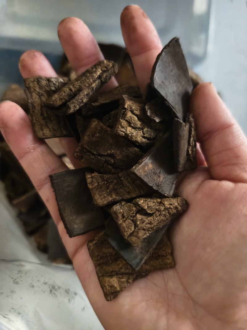 杜仲皮精品杜仲皮/自然晾干无硫磺熏保质保量欢迎