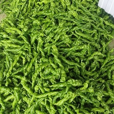 产地直发,量大从优支持视频看货欢迎电话咨询