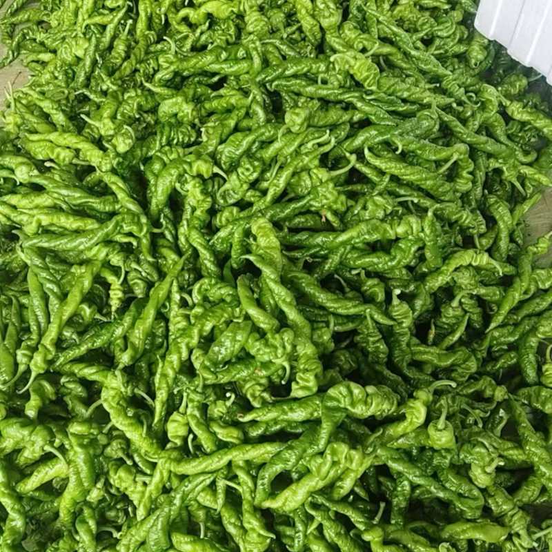 产地直发，量大从优支持视频看货欢迎电话咨询