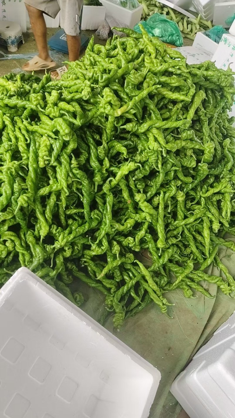 产地直发，量大从优支持视频看货欢迎电话咨询
