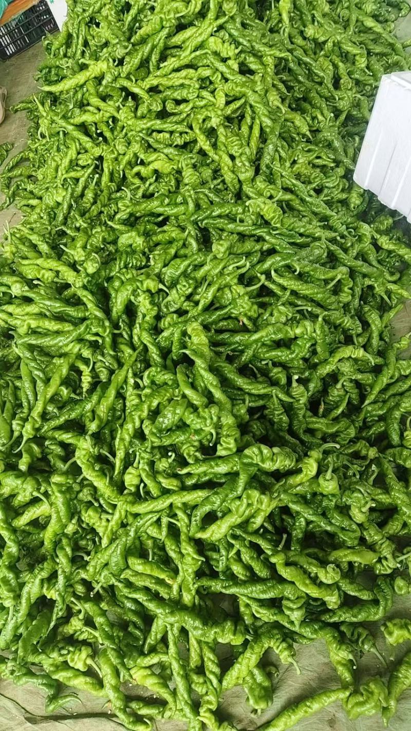 产地直发，量大从优支持视频看货欢迎电话咨询