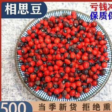 相思豆药材店相思子相思豆别名美人豆孔雀母珠鸳鸯红豆中药材
