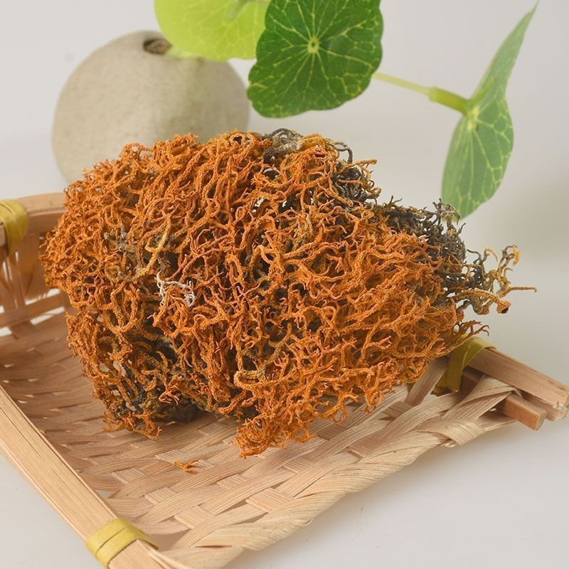 红雪茶特产特级西藏野生正品心血茶鹿长丝高原红血金丝红茶正
