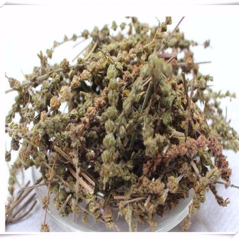 荆芥穗5香荆荠中药材线荠四棱杆蒿荆芥穗