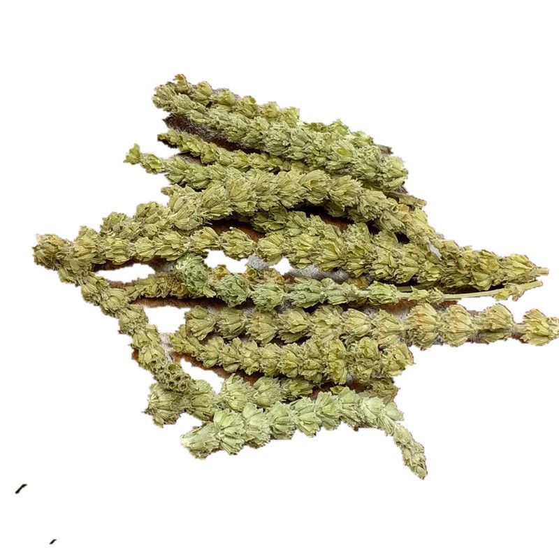 荆芥穗5香荆荠中药材线荠四棱杆蒿荆芥穗